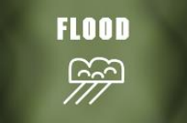 HEAVY RAIN